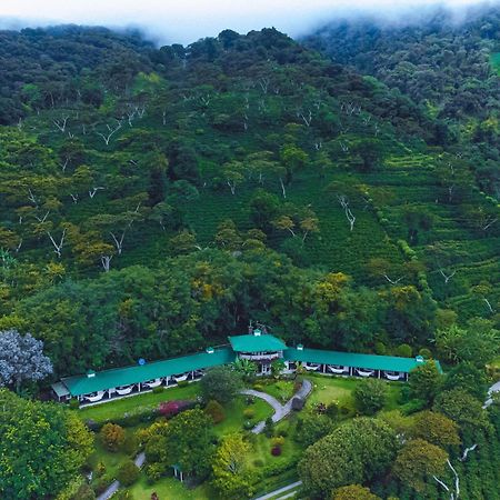 Hotel Finca Lerida Coffee Plantation And Boutique Hotel Boquete Dış mekan fotoğraf